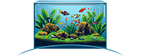 Réussir son aquarium